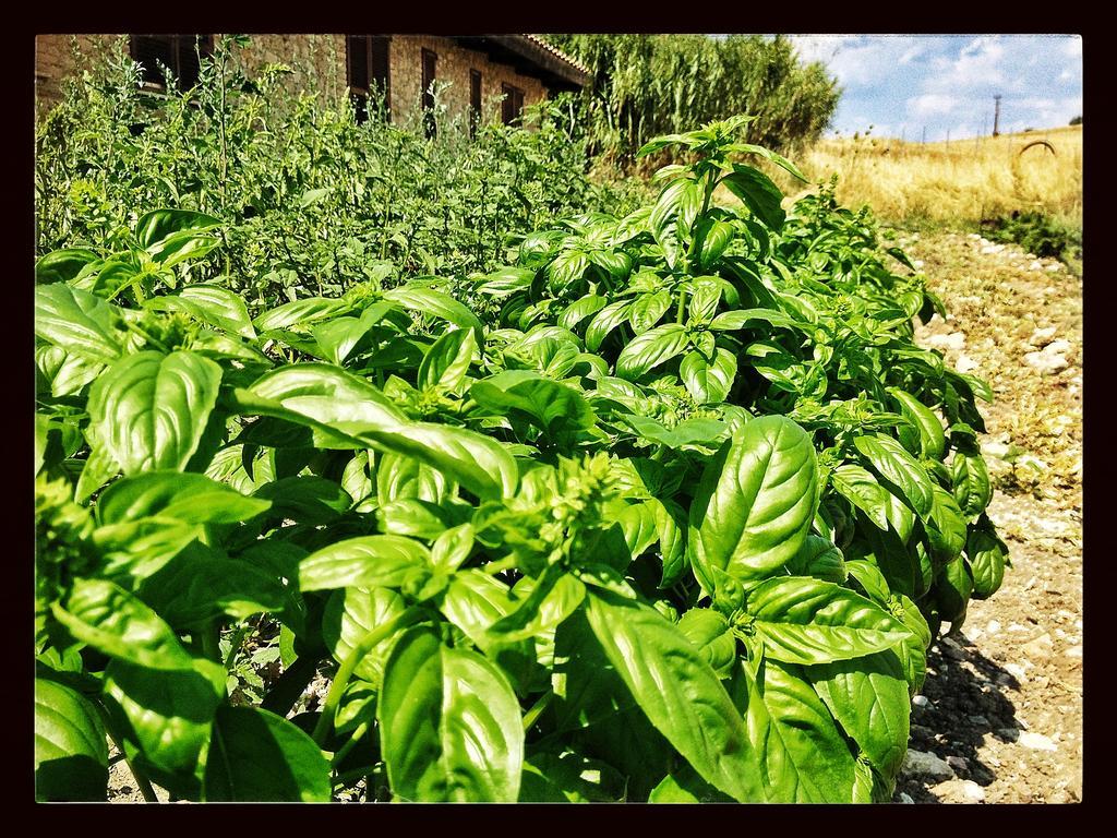 Agriturismo Furfullanu Villa Nurallao Luaran gambar